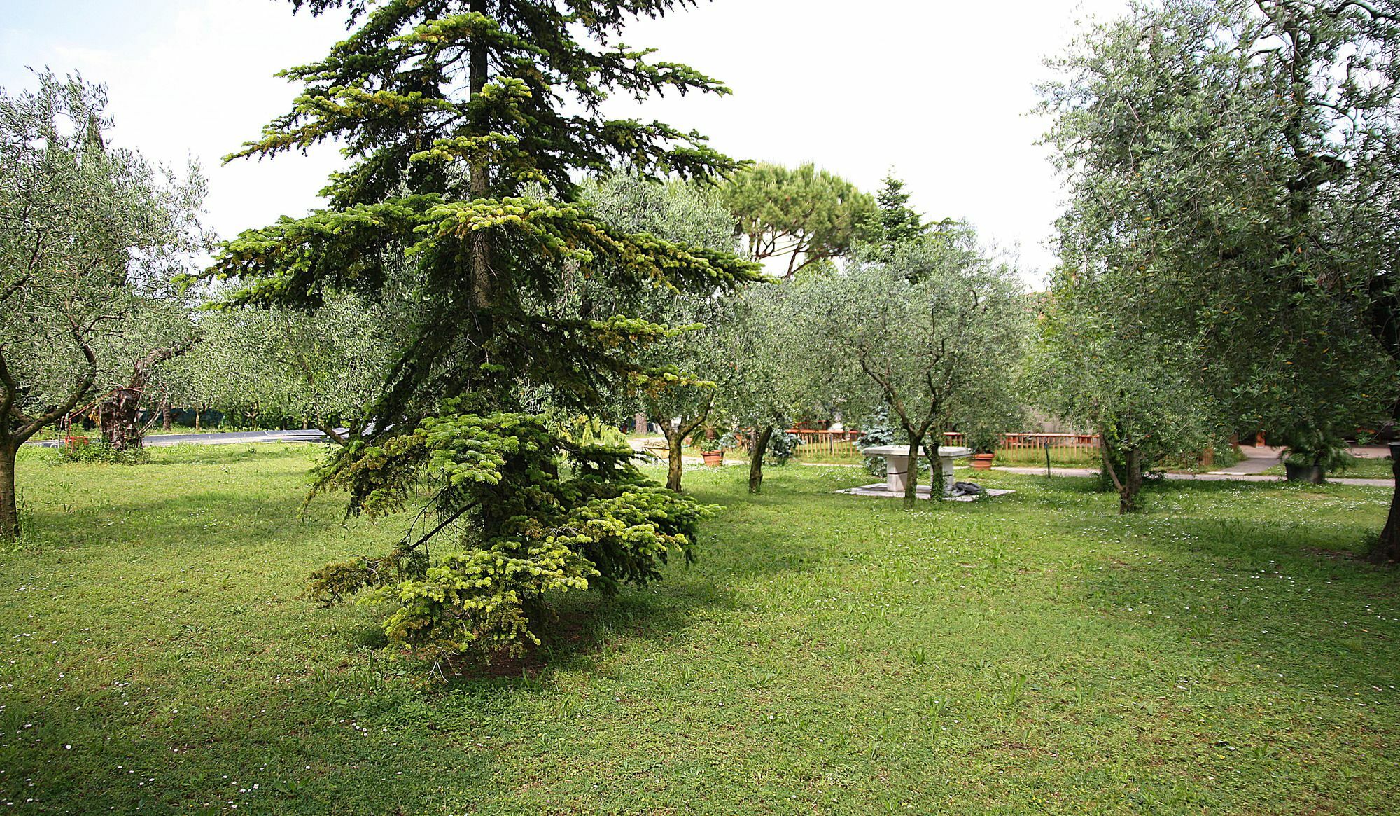 San Giorgio Lazise Locazione Turistica Bed & Breakfast Colà Eksteriør bilde