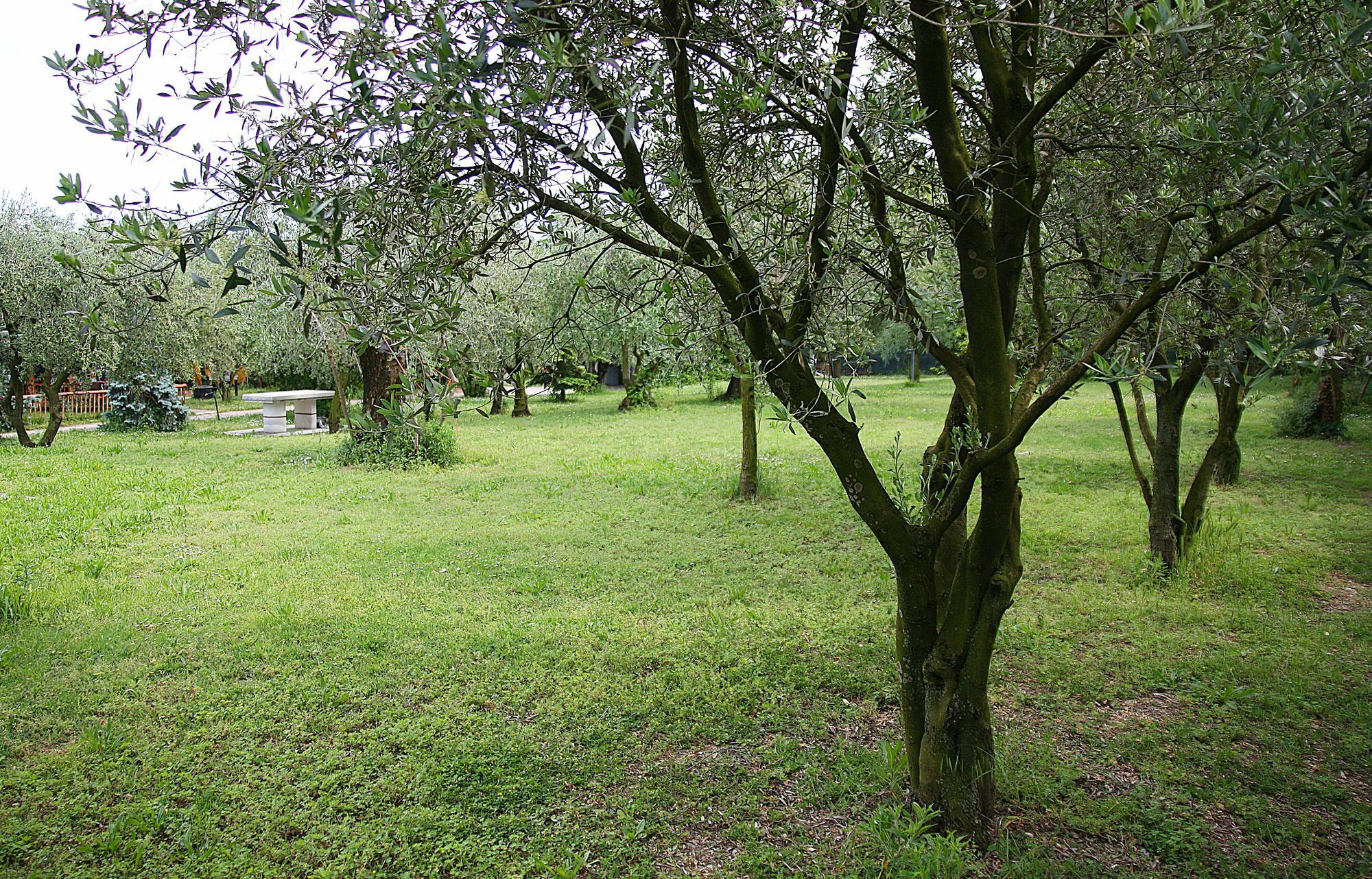San Giorgio Lazise Locazione Turistica Bed & Breakfast Colà Eksteriør bilde